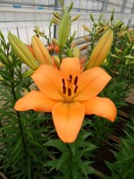 [4056 Hyde Park No02.JPG]